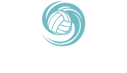 Vienna Elite Volleyball Club banner logo